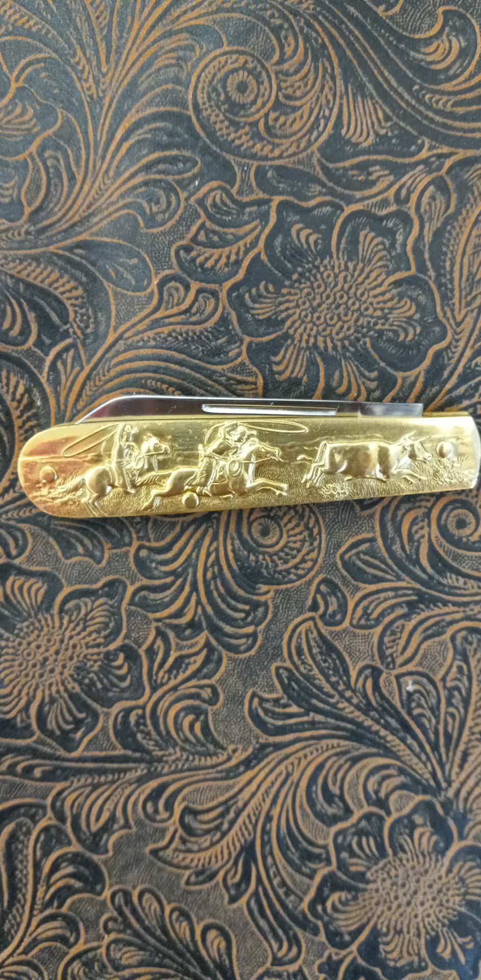 Chasin' the Wild Ones